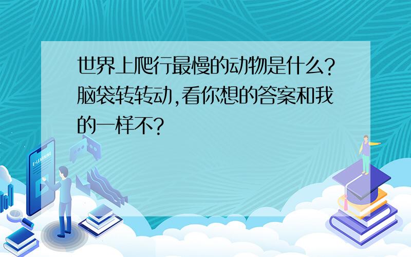 世界上爬行最慢的动物是什么?脑袋转转动,看你想的答案和我的一样不?