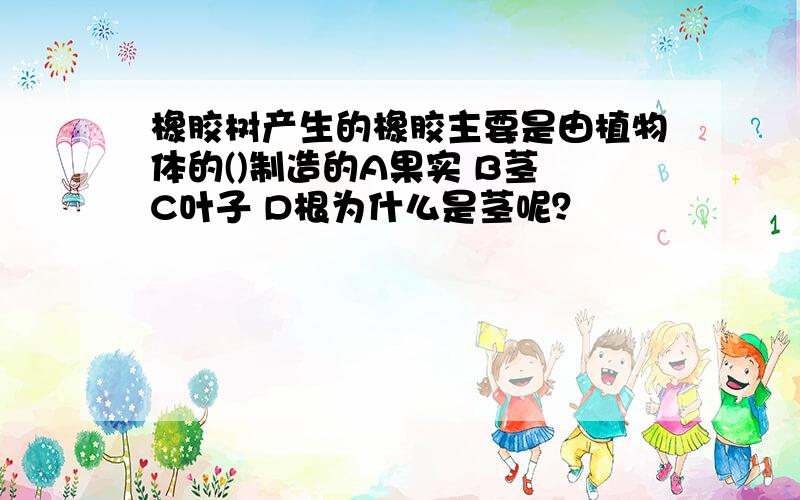 橡胶树产生的橡胶主要是由植物体的()制造的A果实 B茎 C叶子 D根为什么是茎呢？