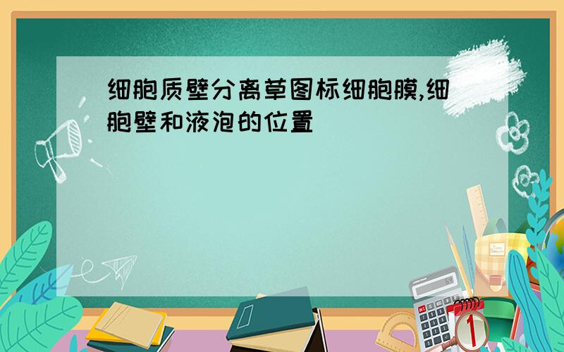 细胞质壁分离草图标细胞膜,细胞壁和液泡的位置