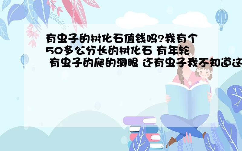 有虫子的树化石值钱吗?我有个50多公分长的树化石 有年轮 有虫子的爬的洞眼 还有虫子我不知道这样的树化石值钱吗?回头我传上来让大家看看