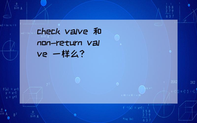 check valve 和 non-return valve 一样么?