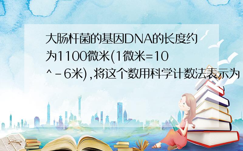 大肠杆菌的基因DNA的长度约为1100微米(1微米=10^-6米),将这个数用科学计数法表示为