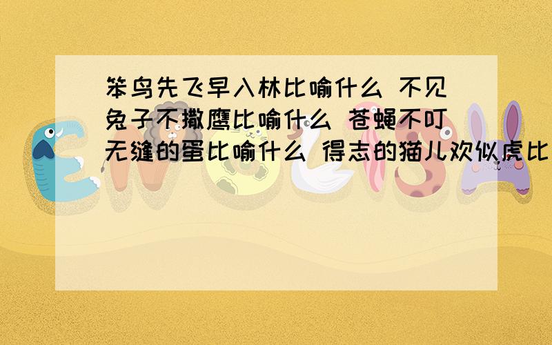 笨鸟先飞早入林比喻什么 不见兔子不撒鹰比喻什么 苍蝇不叮无缝的蛋比喻什么 得志的猫儿欢似虎比喻什么好马不吃回头草比喻什么