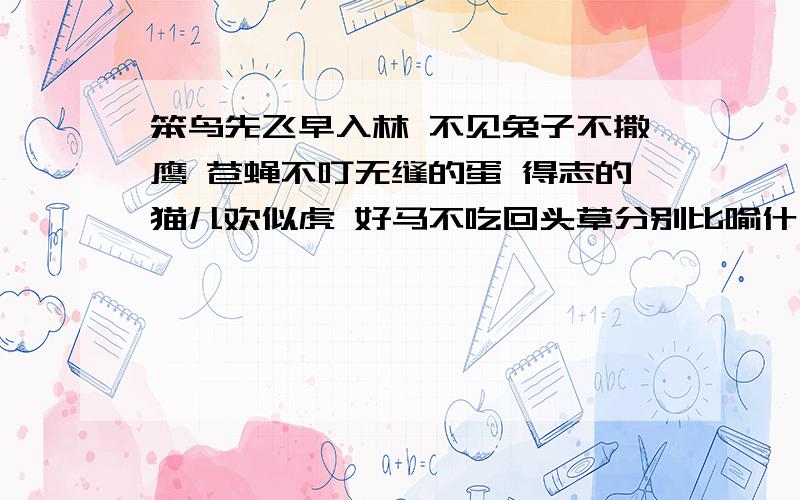 笨鸟先飞早入林 不见兔子不撒鹰 苍蝇不叮无缝的蛋 得志的猫儿欢似虎 好马不吃回头草分别比喻什么