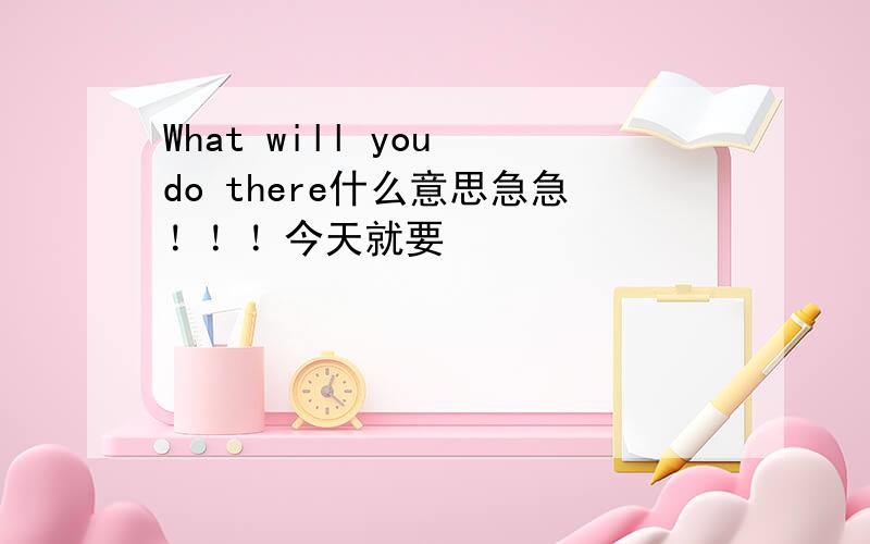 What will you do there什么意思急急！！！今天就要