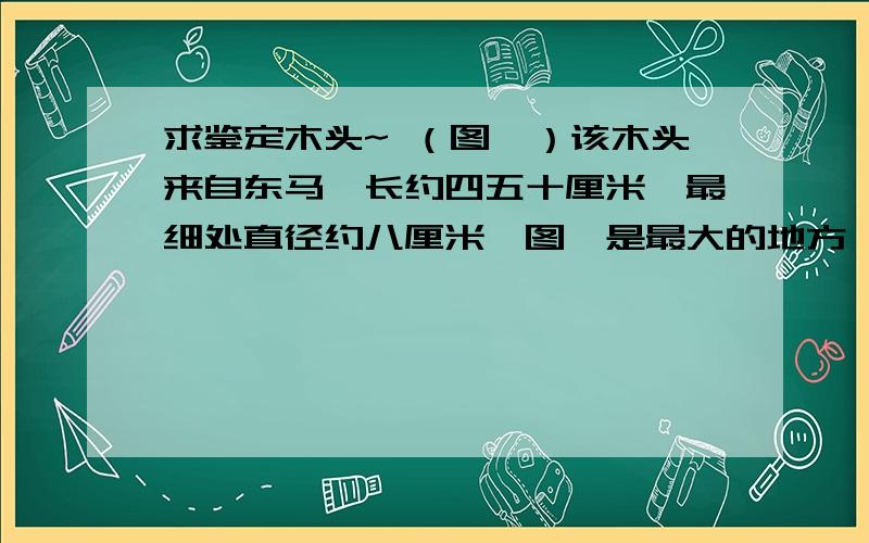 求鉴定木头~ （图一）该木头来自东马,长约四五十厘米,最细处直径约八厘米,图一是最大的地方,直径约三十多厘米（可能是根）重八千克,木质坚硬且沉于水,颜色灰褐色,有香味,特别是空气潮