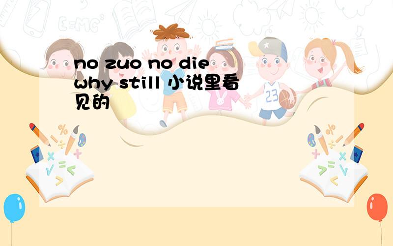 no zuo no die why still 小说里看见的