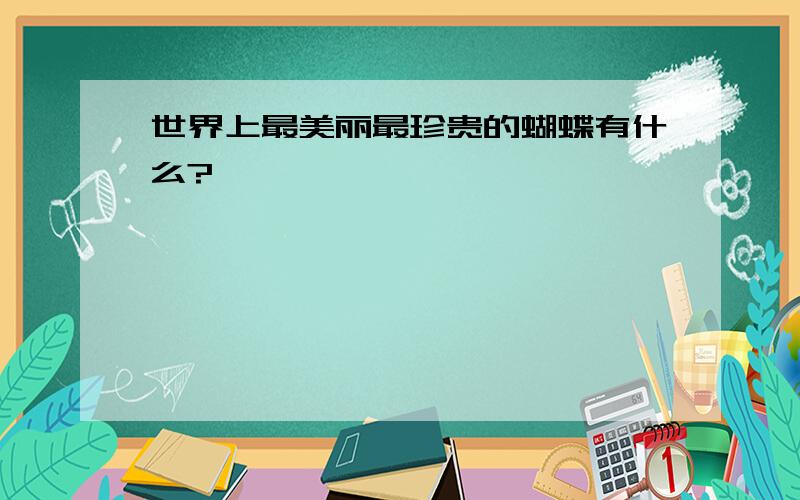 世界上最美丽最珍贵的蝴蝶有什么?