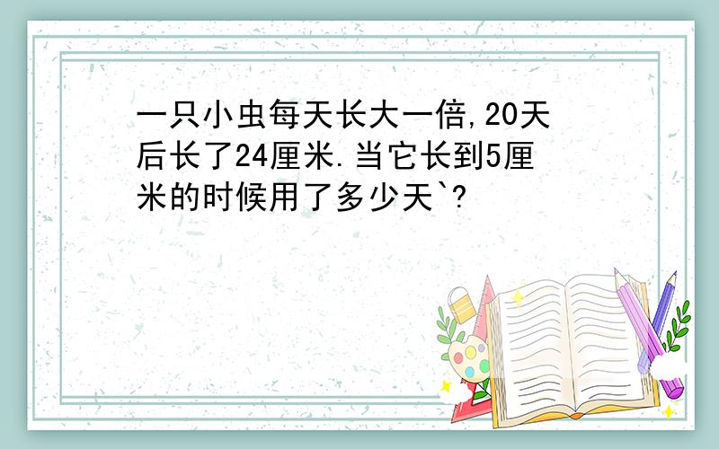 一只小虫每天长大一倍,20天后长了24厘米.当它长到5厘米的时候用了多少天`?