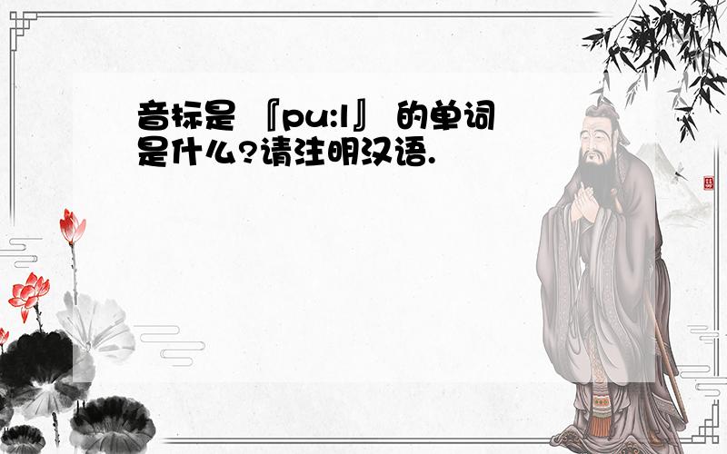 音标是 『pu:l』 的单词是什么?请注明汉语.