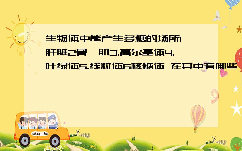 生物体中能产生多糖的场所1,肝脏2骨骼肌3.高尔基体4.叶绿体5.线粒体6核糖体 在其中有哪些 为什么