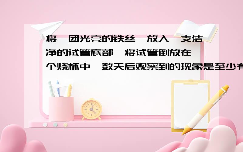 将一团光亮的铁丝,放入一支洁净的试管底部,将试管倒放在一个烧杯中,数天后观察到的现象是至少有2点