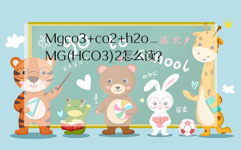 Mgco3+co2+h2o_MG(HCO3)2怎么读?