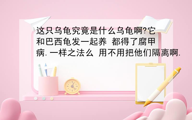 这只乌龟究竟是什么乌龟啊?它和巴西龟发一起养 都得了腐甲病.一样之法么 用不用把他们隔离啊.