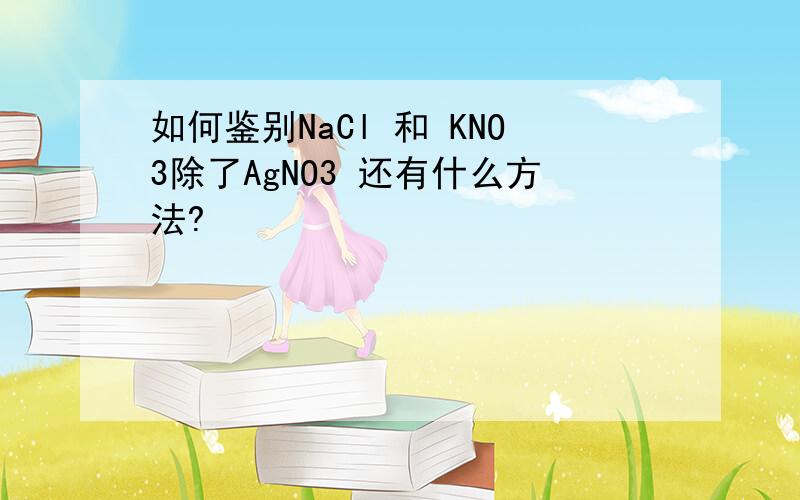 如何鉴别NaCl 和 KNO3除了AgNO3 还有什么方法?