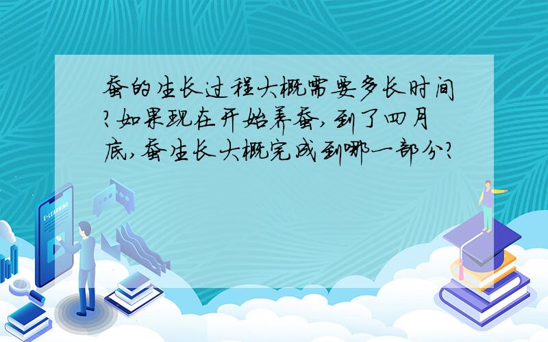 蚕的生长过程大概需要多长时间?如果现在开始养蚕,到了四月底,蚕生长大概完成到哪一部分?