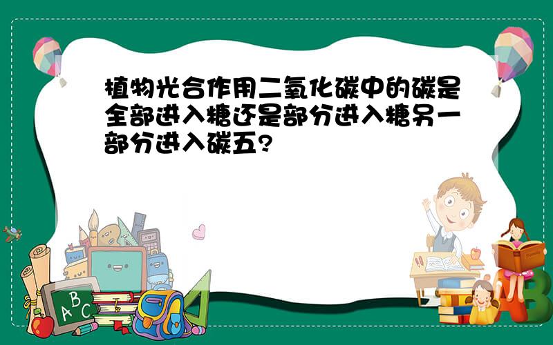 植物光合作用二氧化碳中的碳是全部进入糖还是部分进入糖另一部分进入碳五?
