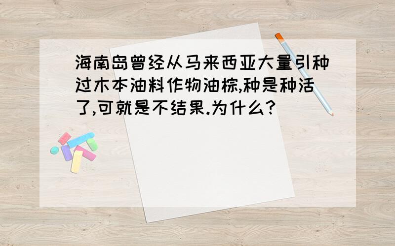 海南岛曾经从马来西亚大量引种过木本油料作物油棕,种是种活了,可就是不结果.为什么?