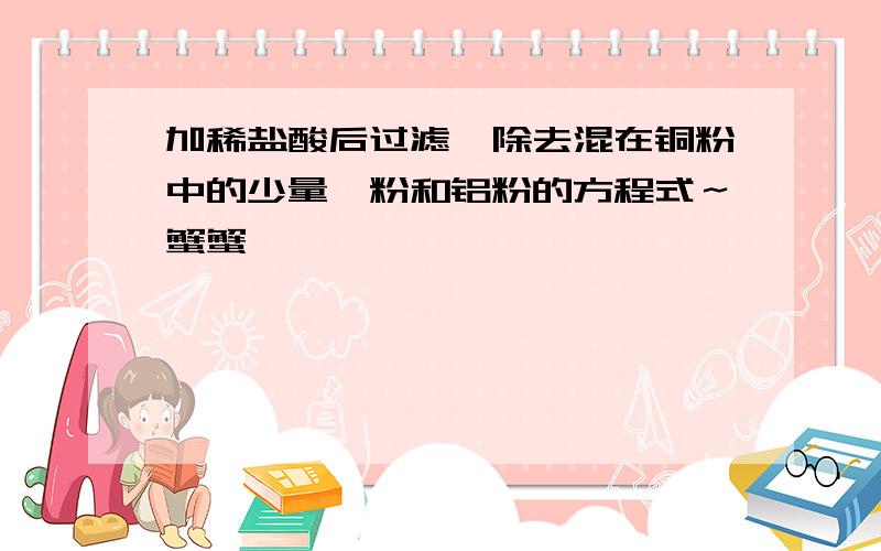 加稀盐酸后过滤,除去混在铜粉中的少量镁粉和铝粉的方程式～蟹蟹