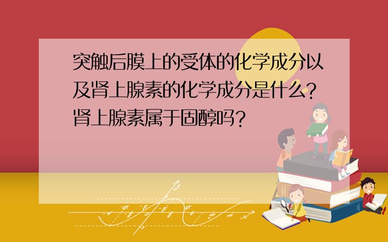 突触后膜上的受体的化学成分以及肾上腺素的化学成分是什么?肾上腺素属于固醇吗？