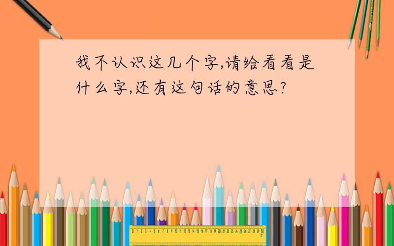 我不认识这几个字,请给看看是什么字,还有这句话的意思?