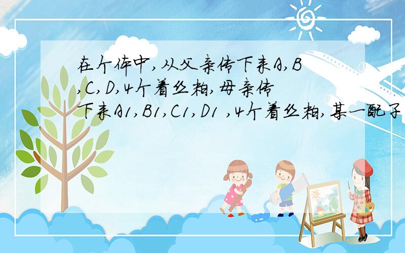 在个体中,从父亲传下来A,B,C,D,4个着丝粒,母亲传下来A1,B1,C1,D1 ,4个着丝粒,某一配子产品能够这样的个体随机获得A,B1,C,D1的4个着丝粒点的概率为?