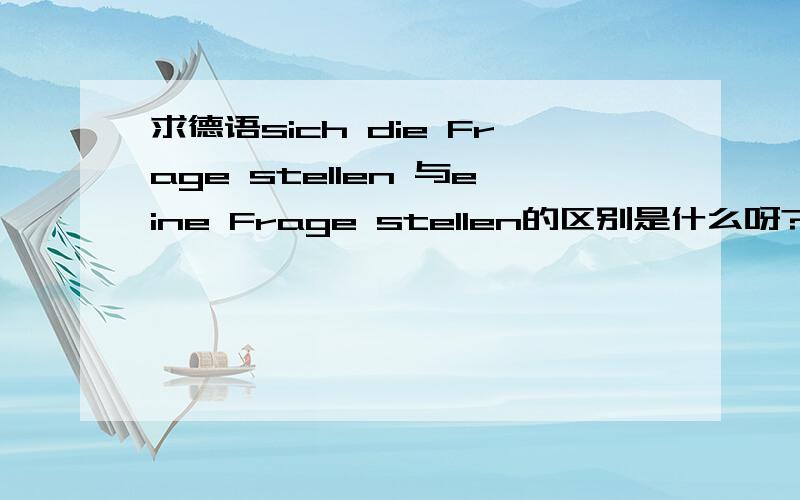 求德语sich die Frage stellen 与eine Frage stellen的区别是什么呀?