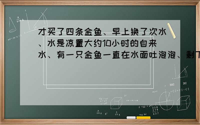 才买了四条金鱼、早上换了次水、水是凉置大约10小时的自来水、有一只金鱼一直在水面吐泡泡、剩下3只没吐、这是为什么?