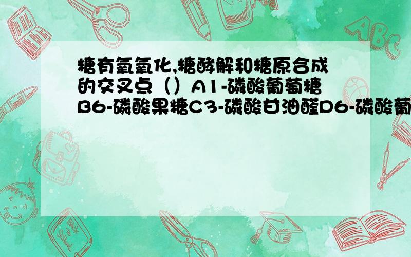 糖有氧氧化,糖酵解和糖原合成的交叉点（）A1-磷酸葡萄糖B6-磷酸果糖C3-磷酸甘油醛D6-磷酸葡萄糖E5-磷酸核糖