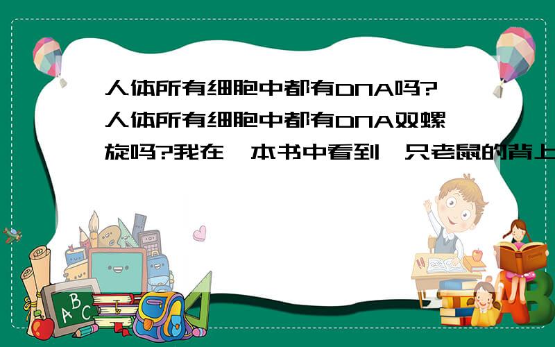 人体所有细胞中都有DNA吗?人体所有细胞中都有DNA双螺旋吗?我在一本书中看到一只老鼠的背上长有一只人类的耳朵,我想知道科学家是如何实验的,