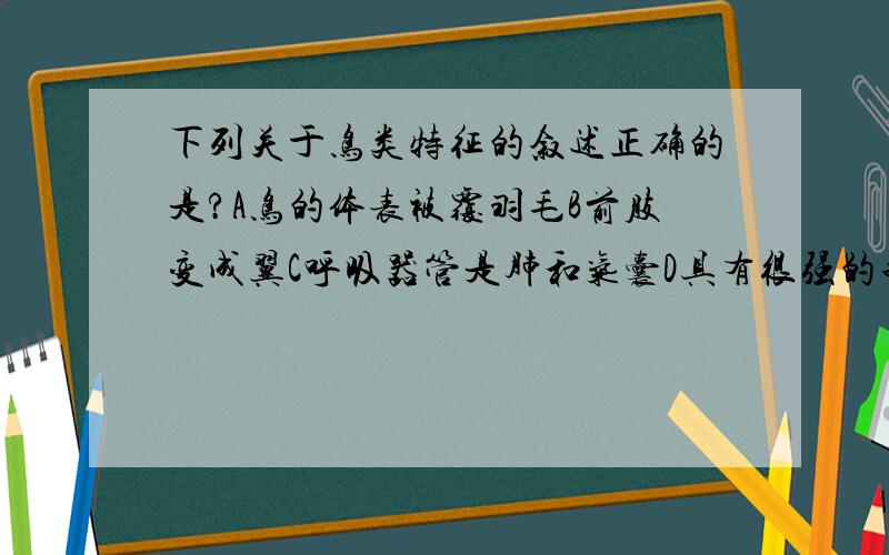 下列关于鸟类特征的叙述正确的是?A鸟的体表被覆羽毛B前肢变成翼C呼吸器管是肺和气囊D具有很强的飞行能力