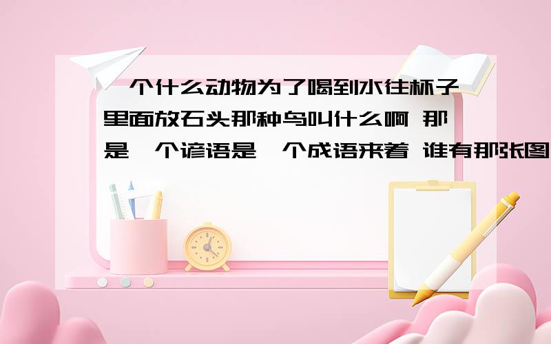 一个什么动物为了喝到水往杯子里面放石头那种鸟叫什么啊 那是一个谚语是一个成语来着 谁有那张图