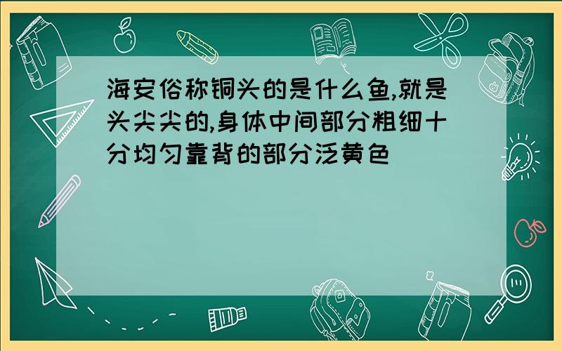 海安俗称铜头的是什么鱼,就是头尖尖的,身体中间部分粗细十分均匀靠背的部分泛黄色