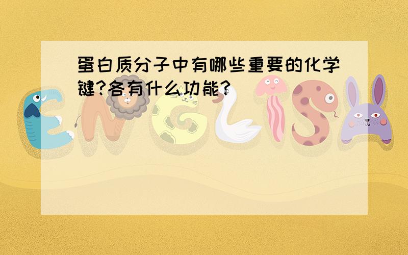 蛋白质分子中有哪些重要的化学键?各有什么功能?