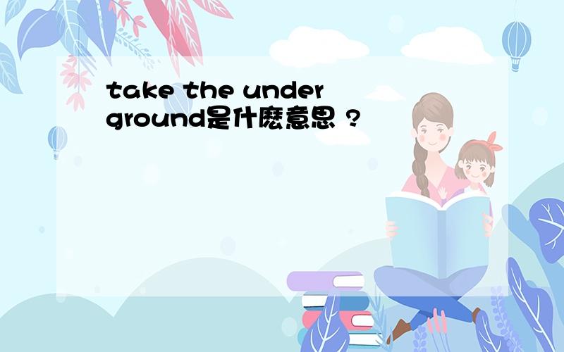 take the underground是什麽意思 ?