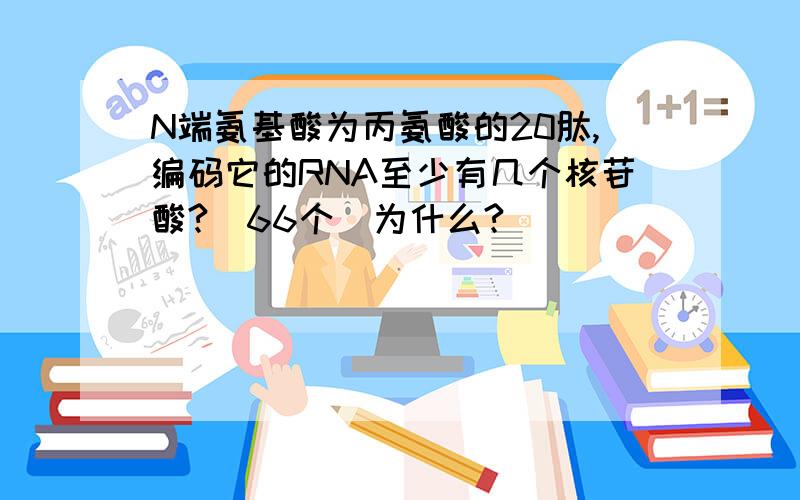 N端氨基酸为丙氨酸的20肽,编码它的RNA至少有几个核苷酸?（66个）为什么?