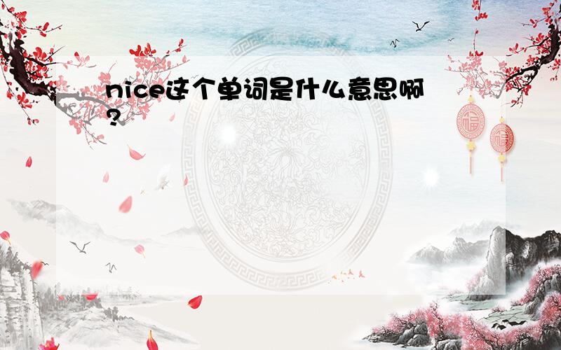 nice这个单词是什么意思啊?