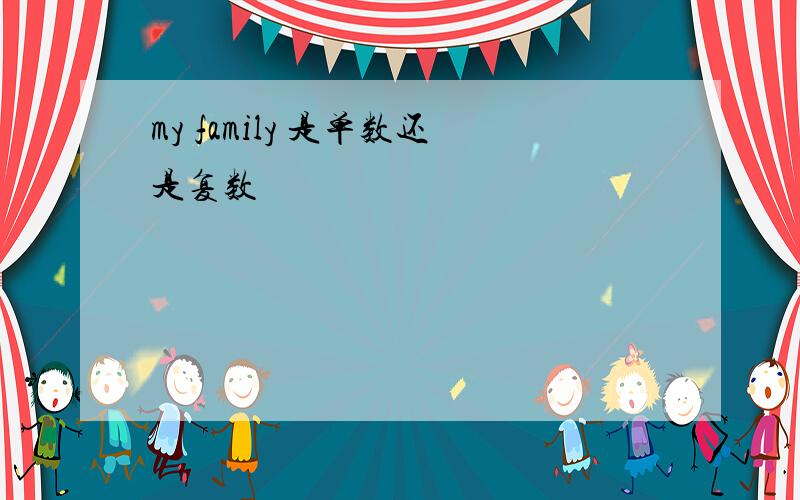 my family 是单数还是复数