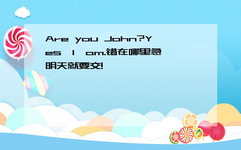 Are you John?Yes,I'am.错在哪里急 明天就要交!