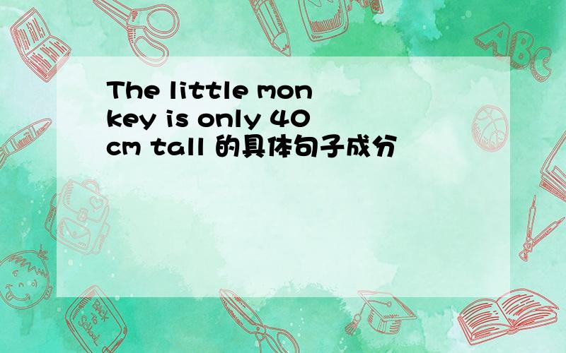 The little monkey is only 40cm tall 的具体句子成分