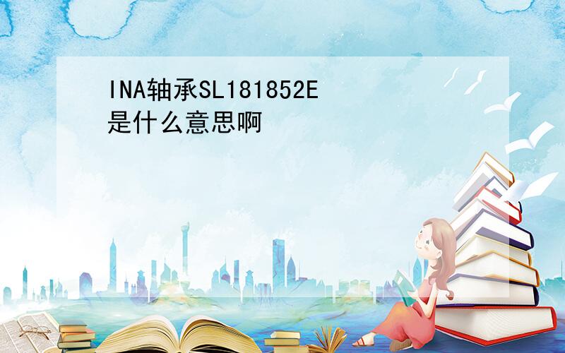 INA轴承SL181852E是什么意思啊