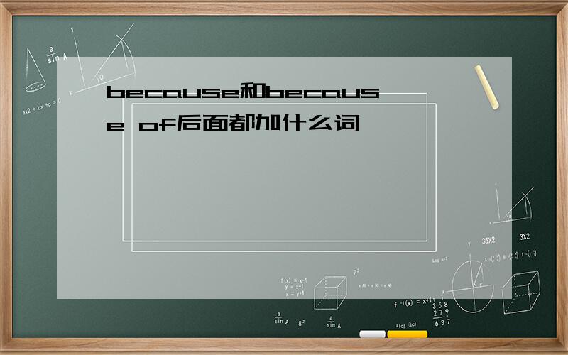 because和because of后面都加什么词