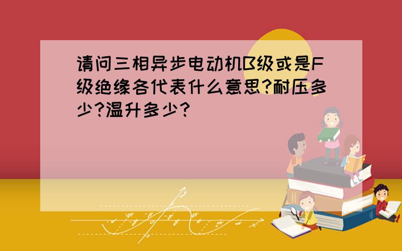 请问三相异步电动机B级或是F级绝缘各代表什么意思?耐压多少?温升多少?