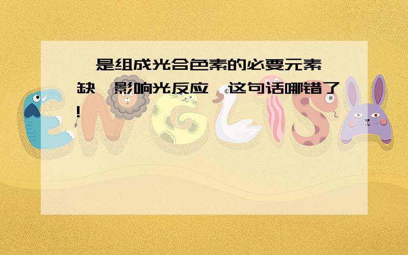 镁是组成光合色素的必要元素,缺镁影响光反应,这句话哪错了!