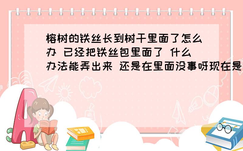 榕树的铁丝长到树干里面了怎么办 已经把铁丝包里面了 什么办法能弄出来 还是在里面没事呀现在是还能看见铁丝头在树干外面 但其余的部分应该包在树里面了 具体在不在木质之间 我也看