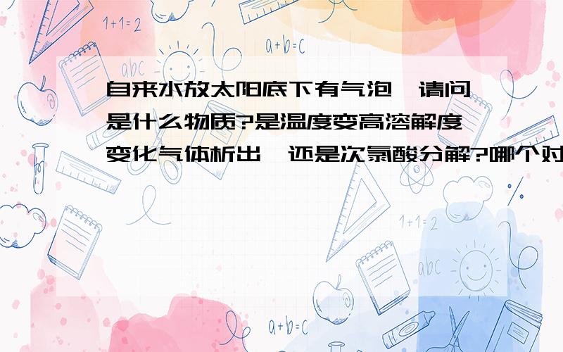 自来水放太阳底下有气泡,请问是什么物质?是温度变高溶解度变化气体析出,还是次氯酸分解?哪个对?