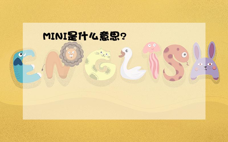 MINI是什么意思?