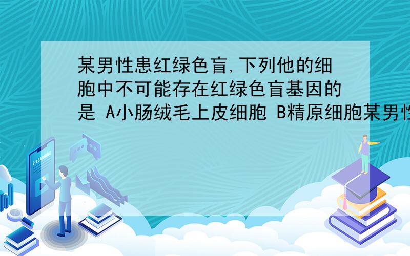 某男性患红绿色盲,下列他的细胞中不可能存在红绿色盲基因的是 A小肠绒毛上皮细胞 B精原细胞某男性患红绿色盲,下列他的细胞中不可能存在红绿色盲基因的是 A小肠绒毛上皮细胞 B精原细胞