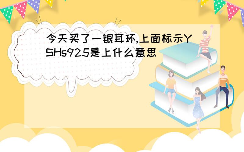 今天买了一银耳环,上面标示YSHs925是上什么意思