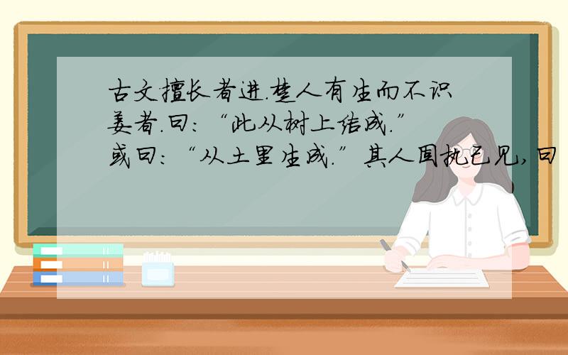 古文擅长者进.楚人有生而不识姜者．曰：“此从树上结成.”或曰：“从土里生成.”其人固执己见,曰“请与子以十人为质(评断、见证),以所乘驴为赌.”已而遍问十人,皆曰：“土里生也.”其